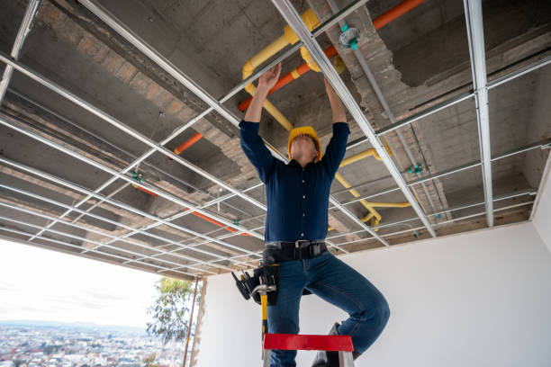 Best Local Plumber Services  in Ronkonkoma, NY