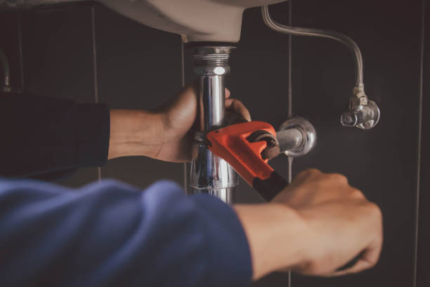 Best Plumbing Inspection Services  in Ronkonkoma, NY